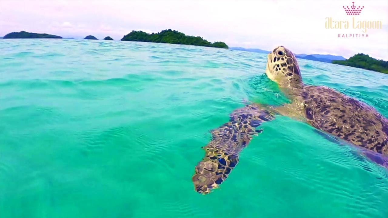 Atara Lagoon Kalpitiya Ngoại thất bức ảnh